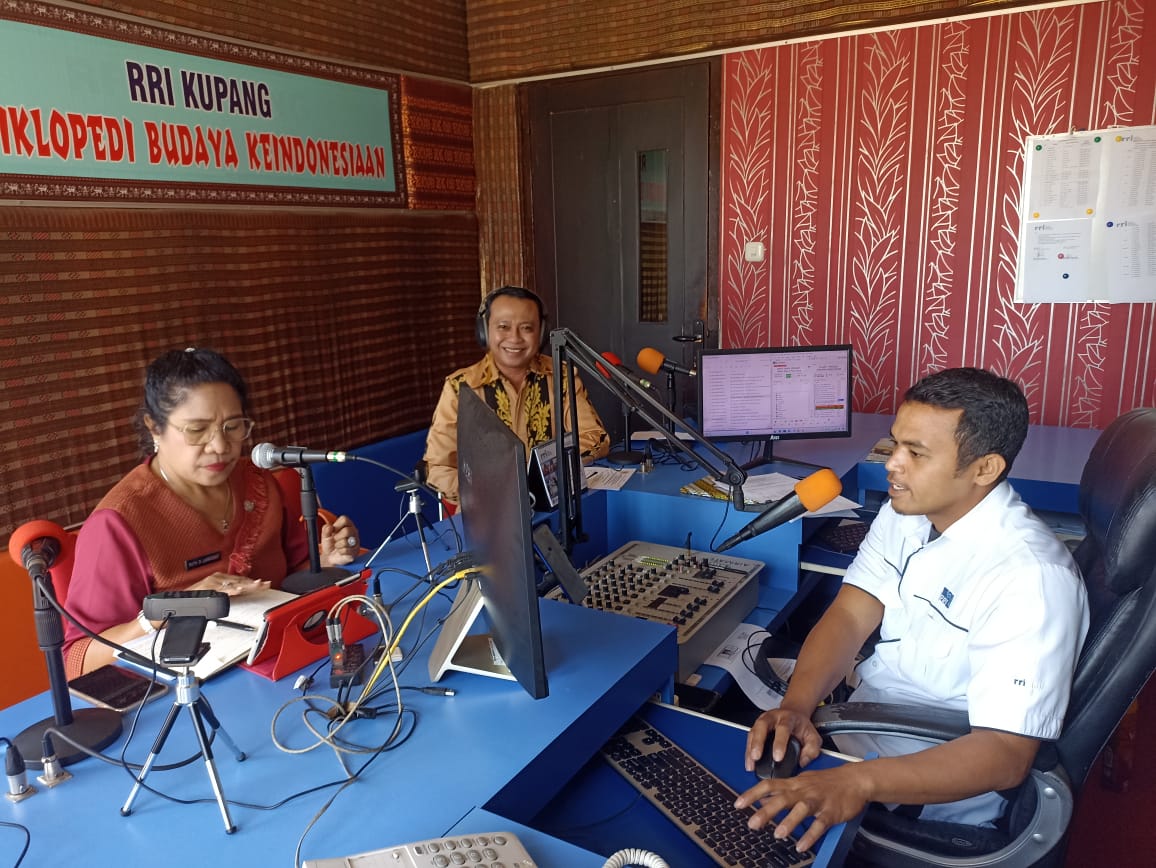 Peran Pemerintah Daerah Wujudkan Kabupaten/Kota Layak Anak di NTT